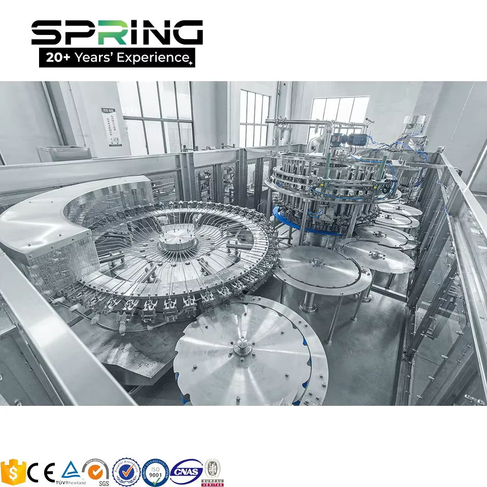 Main machine detail overview for juice production line project